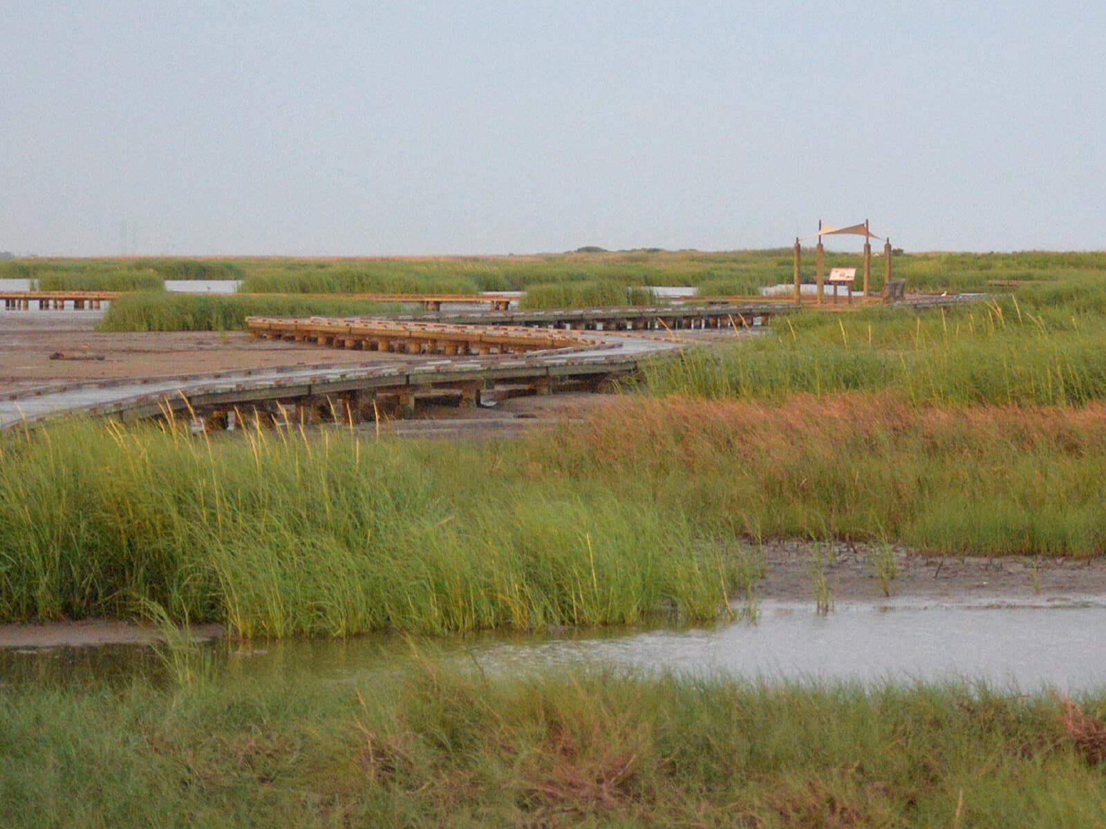 Wooden boardwalk crossing a coastal Texas salt marsh, with tall green grasses and shallow water under a hazy sky - representative of the trails at Port Aransas Nature Preserve at Charlies Pasture.