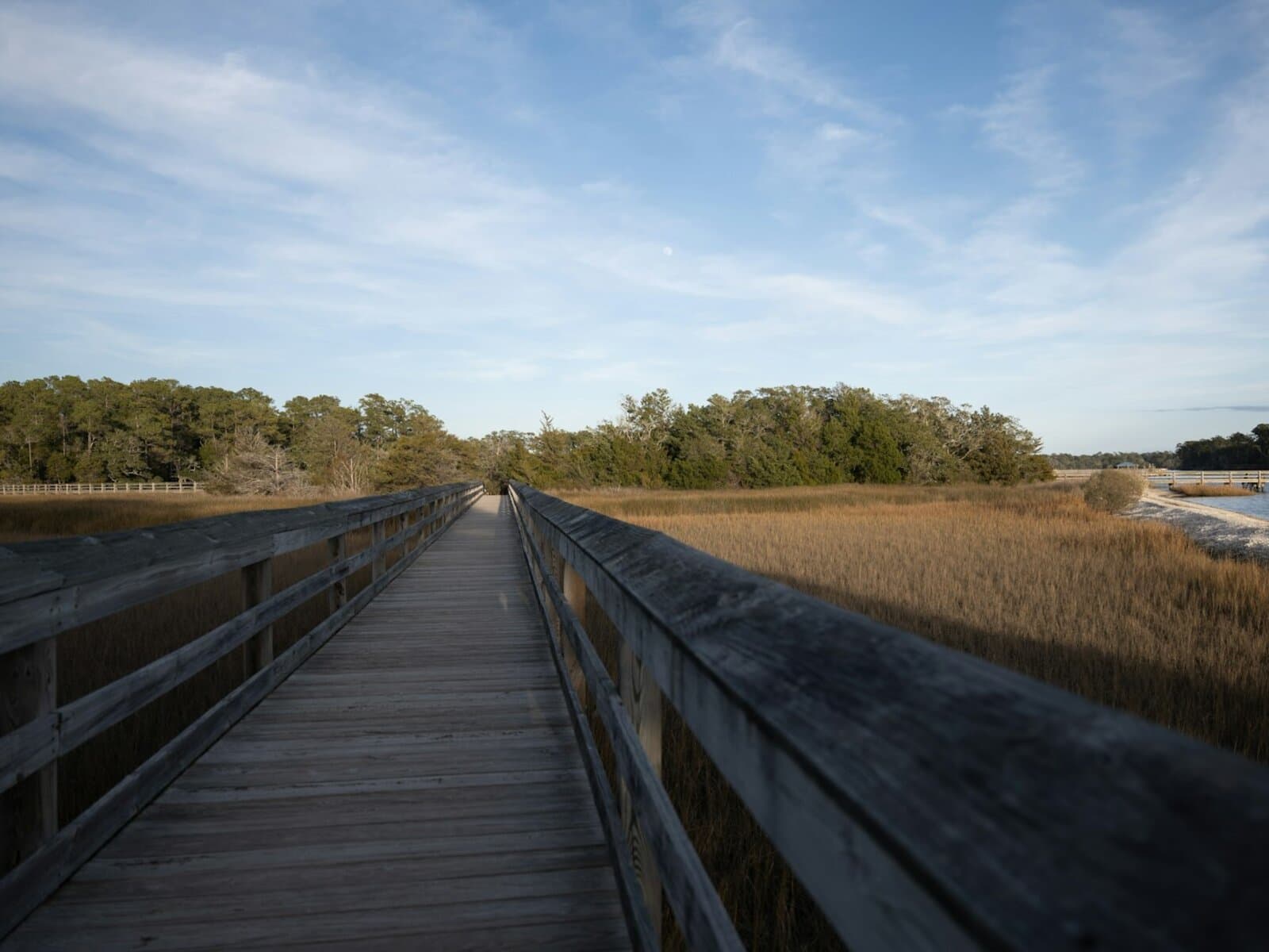Leonabelle Turnbull Birding Center