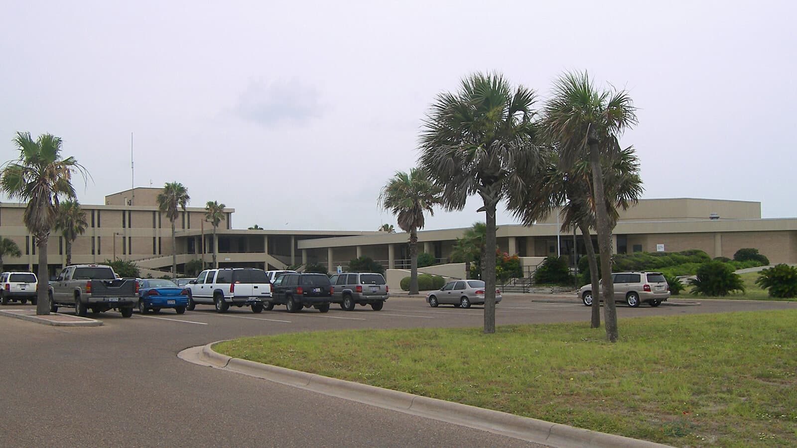 Palm trees, parked vehicles, and low campus buildings at the University of Texas Marine Science Institute in Port Aransas.