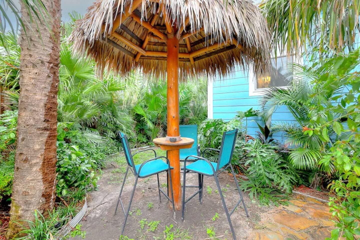 Tropical Oasis