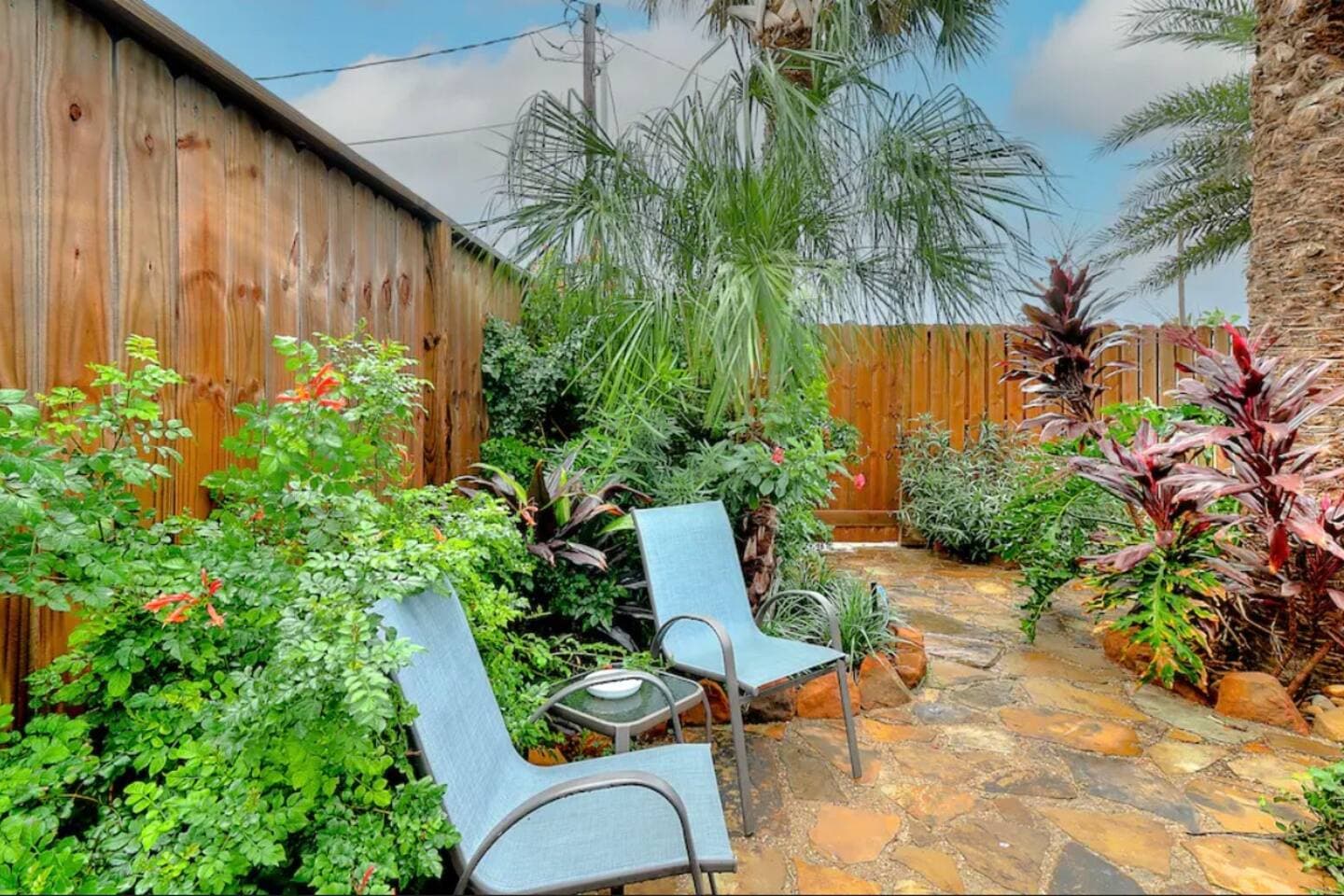 Tropical Oasis