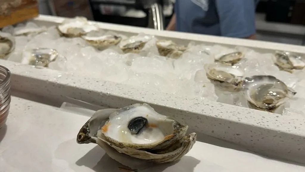 Freshly shucked oyster on the counter at KC's Oyster Shack, with the wrap-around ice bar and a shucker in a KC's shirt behind it